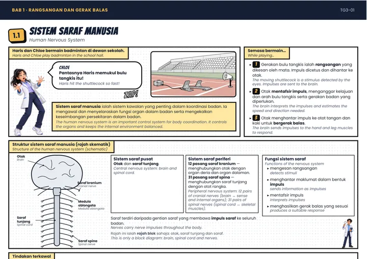 Halaman nota Sains Tingkatan 3 tentang sistem saraf manusia, dengan rajah dan kotak INGAT!